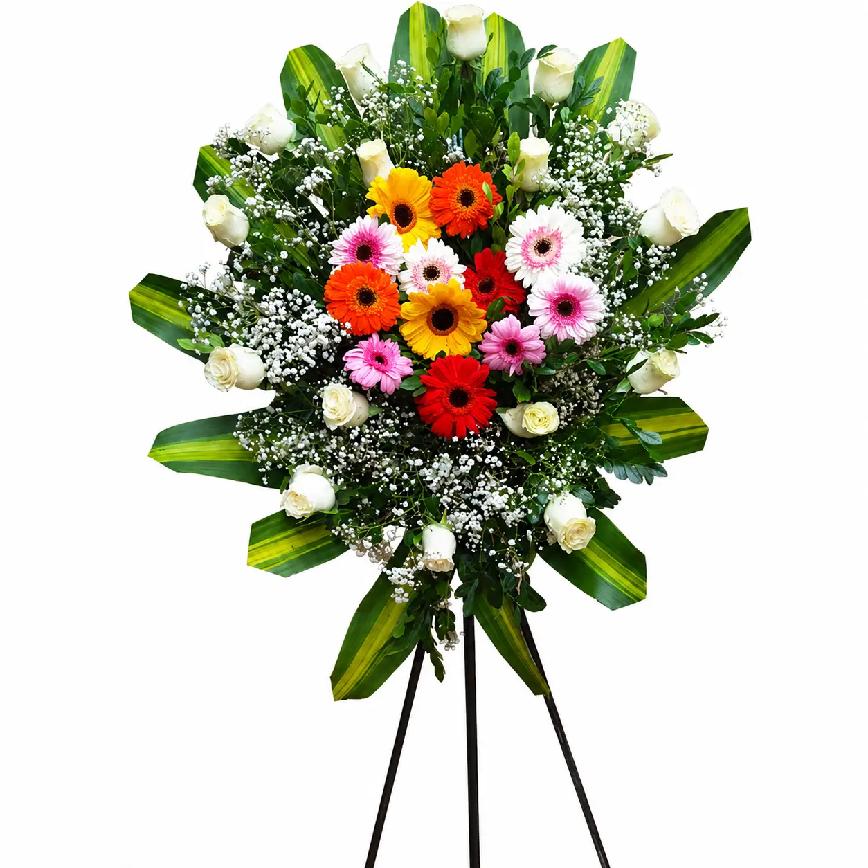 lágrima de gerberas para velorios y funerales delivery de flores en Lima